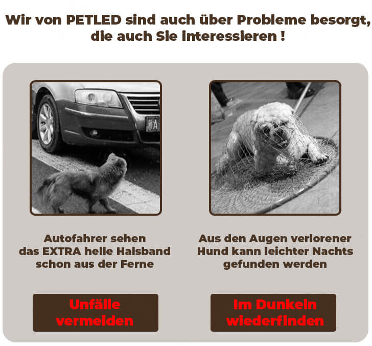 LED-Leuchthalsband für Hunde, Extra hell, Multicolor Licht, Aufladbar