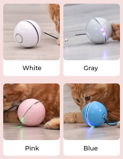 🐈 "Moviball" Automatisches Bewegungsspielzeug für ultimativen Katzenspaß