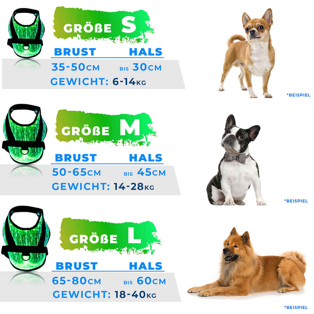 LED Sicherheitsgeschirr für kleine Hunde und Welpen