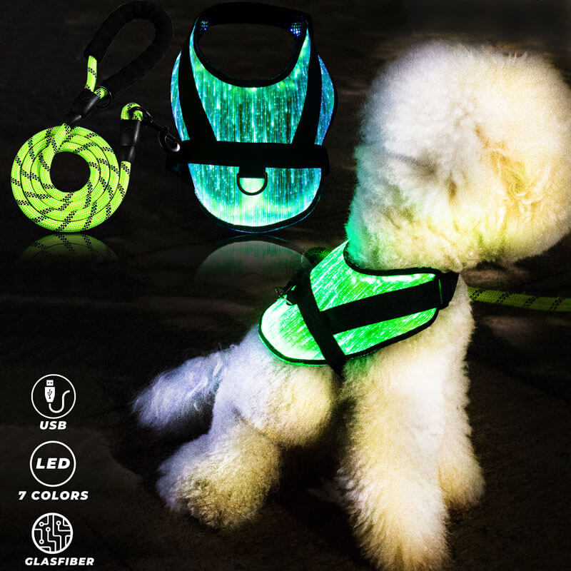 LED Sicherheitsgeschirr für kleine Hunde und Welpen