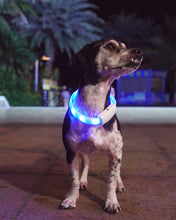 Laden Sie das Bild in den Galerie-Viewer, LED-Leuchthalsband für Hunde, Extra hell, Multicolor Licht, Aufladbar
