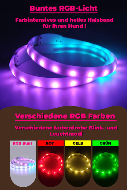 LED-Leuchthalsband für Hunde, Extra hell, Multicolor Licht, Aufladbar