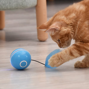 🐈 "Moviball" Automatisches Bewegungsspielzeug für ultimativen Katzenspaß