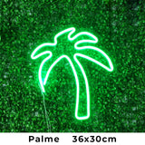 Palm tree