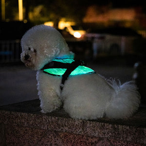 Leuchtendes LED Sicherheitsgeschirr für kleine Hunde und Welpen