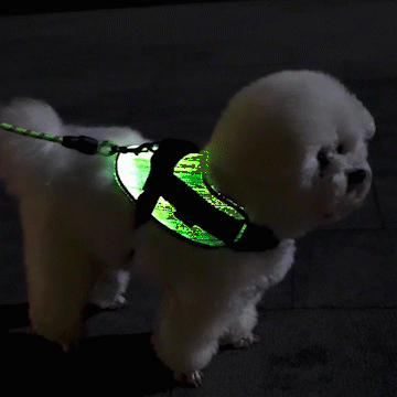 LED Sicherheitsgeschirr für kleine Hunde und Welpen