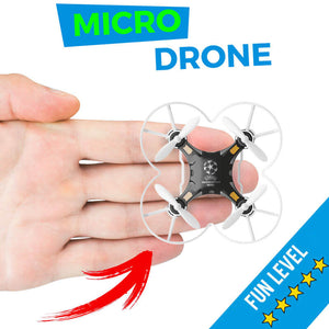 Micro drone